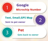 Google your pet 1